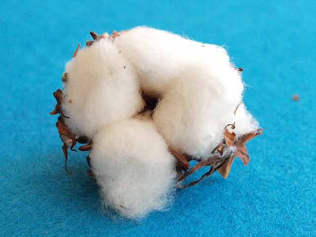 5 Benefits organic baby clothes have-White cotton ball.