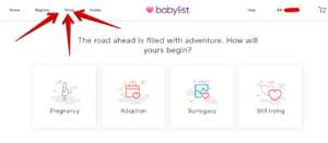 What is Babylist and how does it work?-Image of the area you can use the Babylist store to browse products of the babylist store.